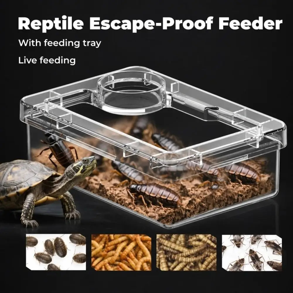 Non-Toxic Reptile Feeder Bowl – Escape-Proof, Easy Clean Reptile Feeder Bowl Nixie