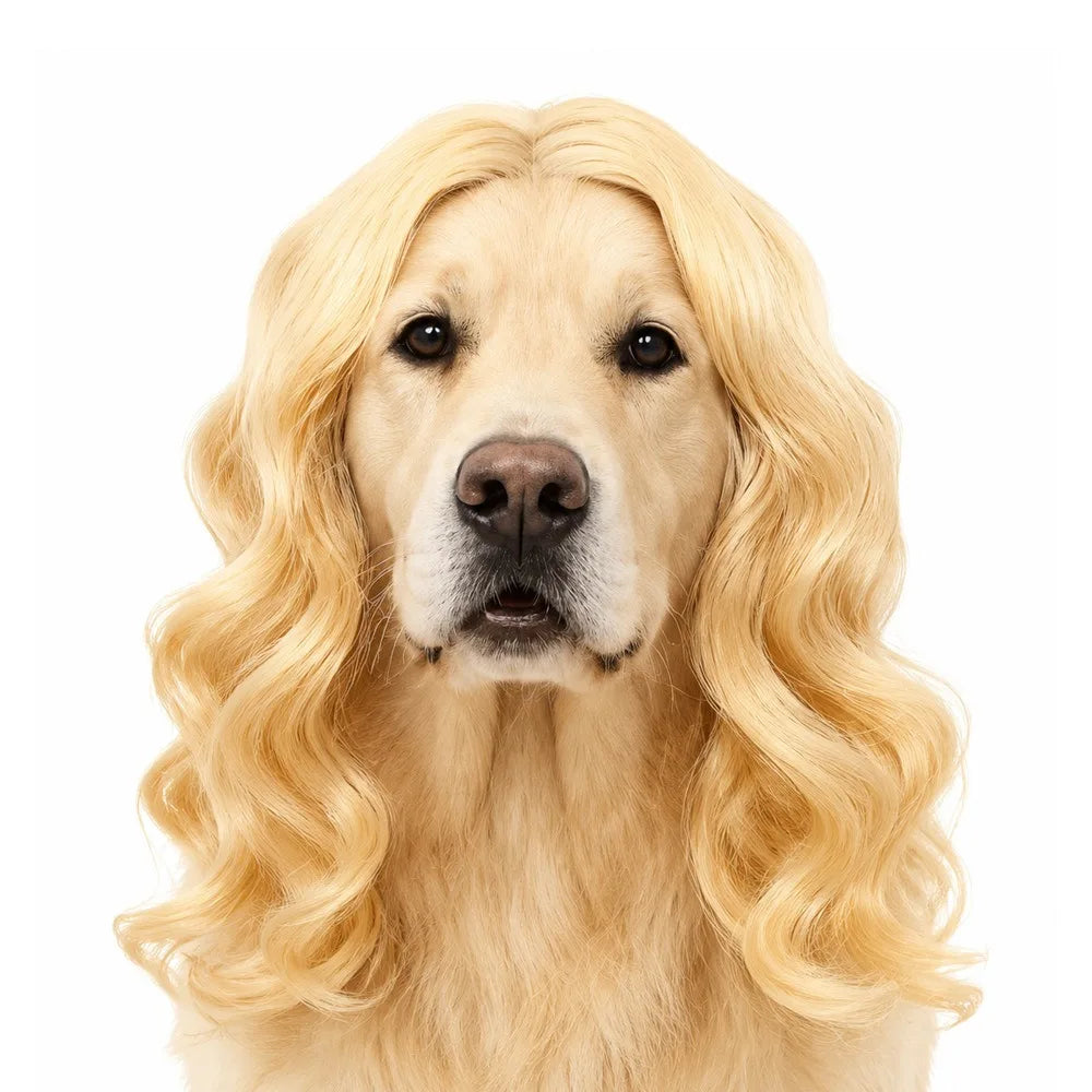 Funny Pet Wig for Dogs & Cats – Cosplay Dress Up Hairpiece