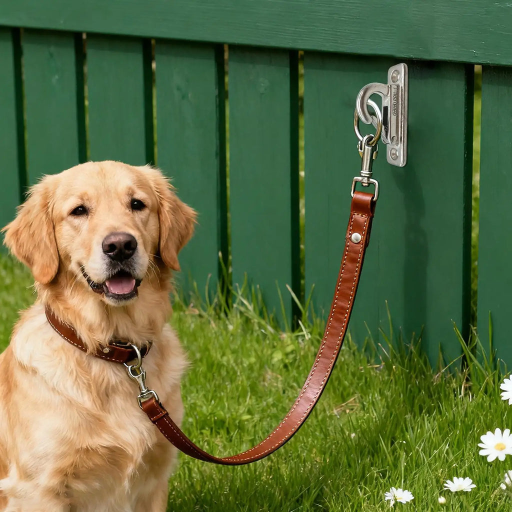 Stainless Steel Dog Leash Wall Hook – Anti-Slip Holder Dog Leash Wall Hook Nixie