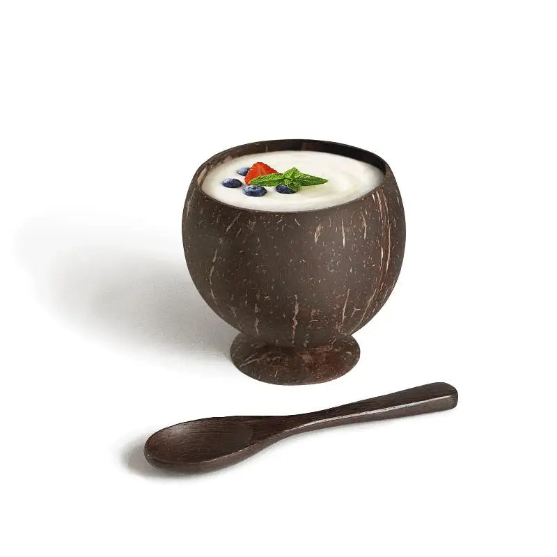 Handcrafted Natural Coconut Shell Bowl – Eco-Friendly Tableware Coconut Shell Bowl Nixie