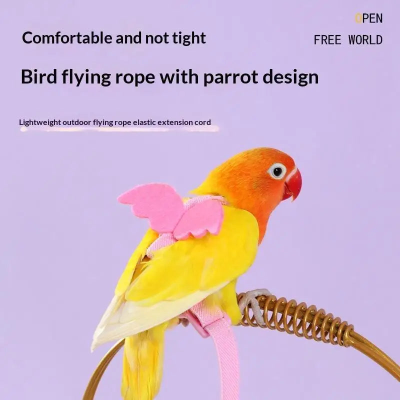 Parrot Harness & Leash Set – Budgie Cockatiel Outdoor Training Bird Harness Leash Nixie