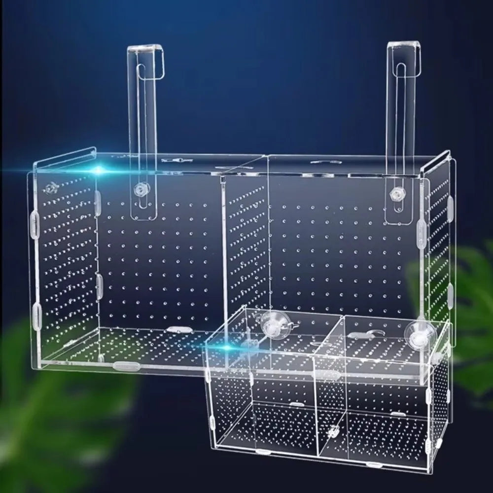 Acrylic Aquarium Isolation Box – Fry Breeder & Spawning Hatchery