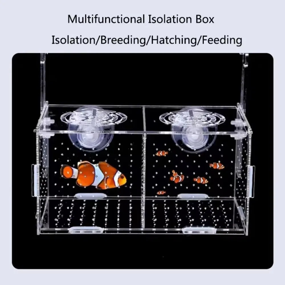 Acrylic Aquarium Isolation Box – Fry Breeder & Spawning Hatchery