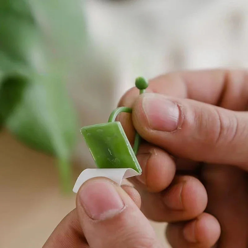 10pcs Plant Wall Clips Vine Climbing Fixer & Trellis Hooks