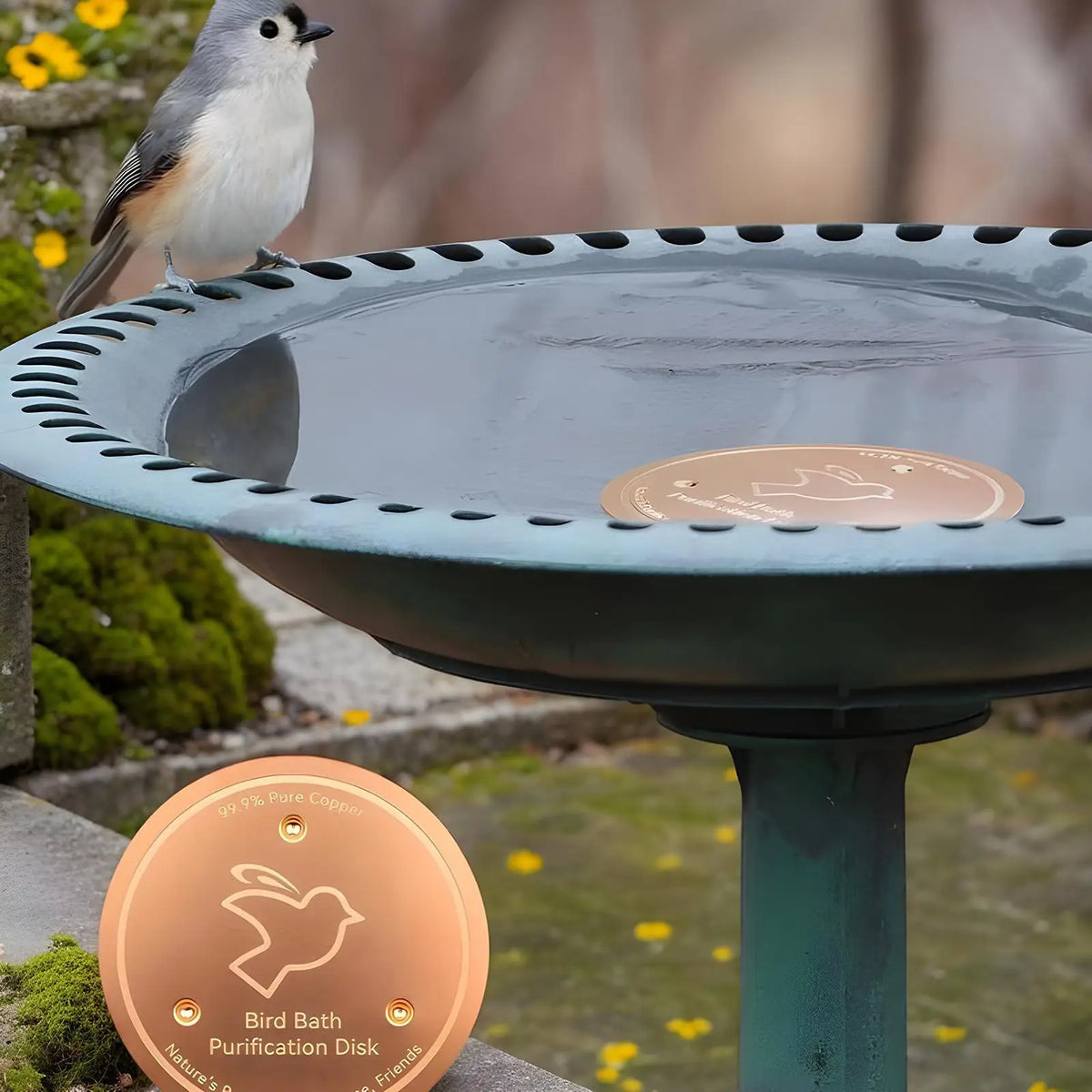 Copper Metal Bird Bath Disk | Triple-Point Support Garden Tray