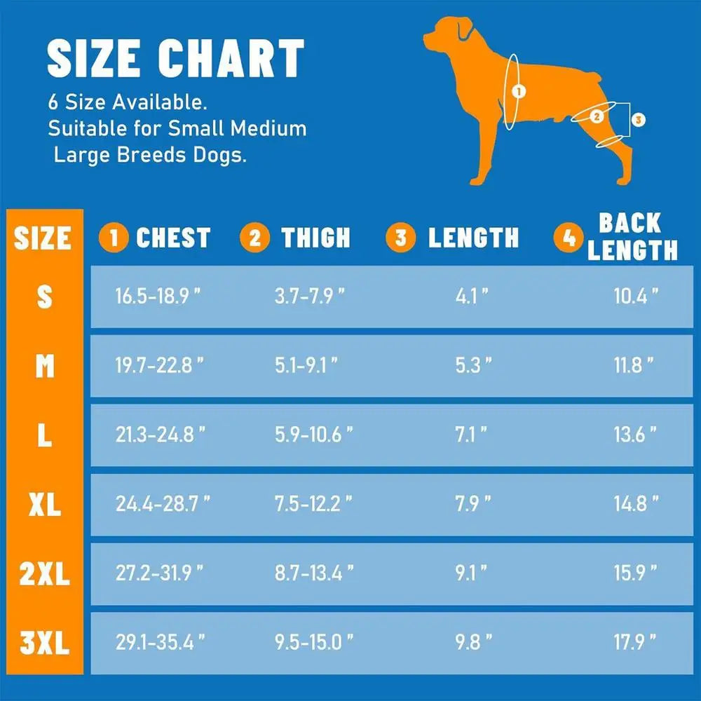 Adjustable Dog Rear Leg Brace with 4 Metal Stabilizers Dog Leg Brace Nixie XXL
