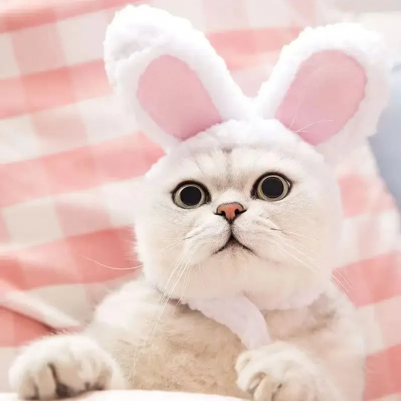 Cute Bear Rabbit Hooded Pet Hat – Soft Fleece Cat & Dog Cosplay Pet Costume Hat Nixie