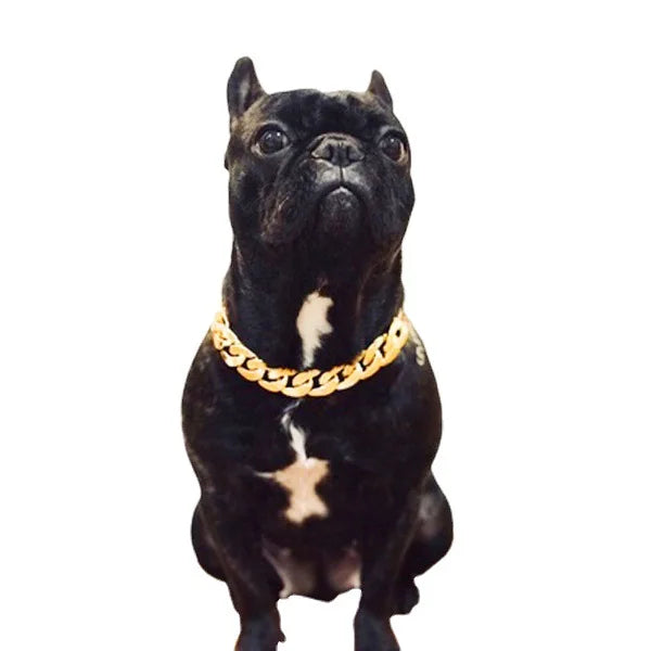 Hip Hop Dog Gold Chain Collar Necklace for Small & Medium Dogs Dog Collar Necklace Nixie