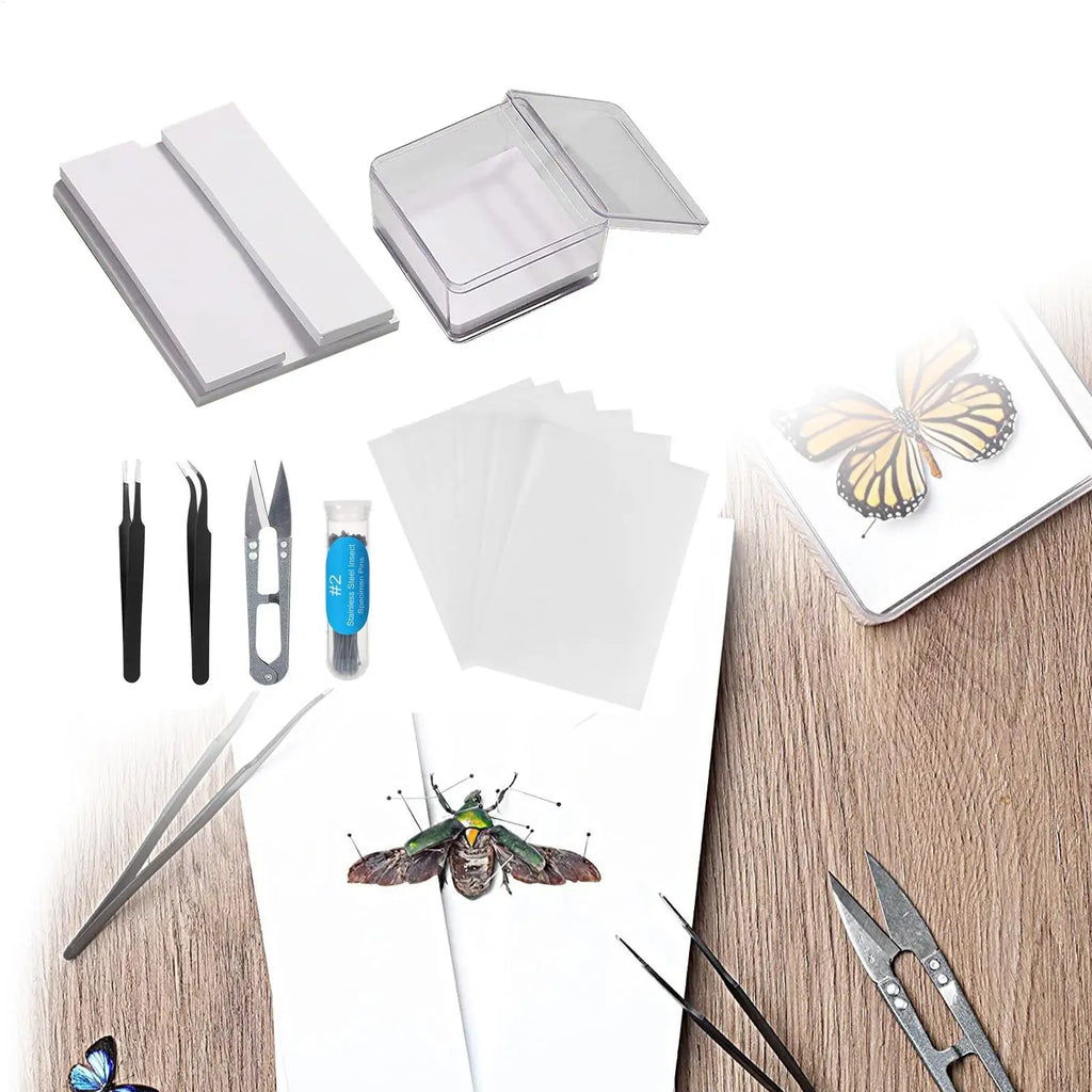 Butterfly Specimen Making Kit – Insect Pin Wing Board DIY Tool