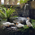 3Pcs White Duck Resin Statue Hydroponic Flower Pot Ornament Resin Decor Statue Nixie Default Title