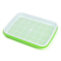 2-Layer Hydroponic Seed Sprouter Tray | Microgreens Grow Kit