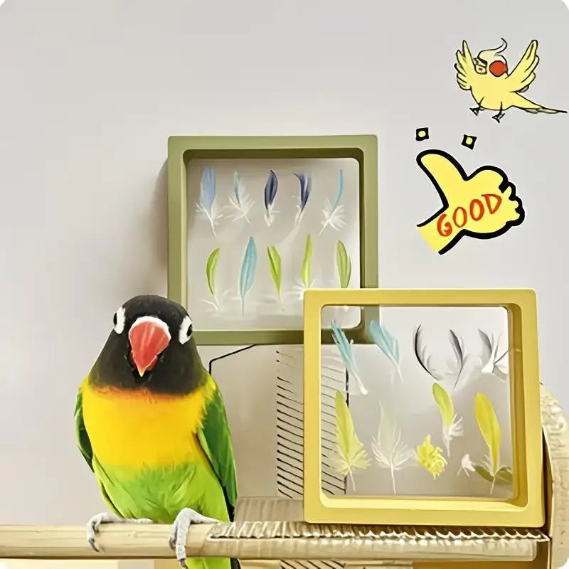 Transparent Pet Bird Feather Memorial Photo Frame Display Box Memorial Display Box Nixie