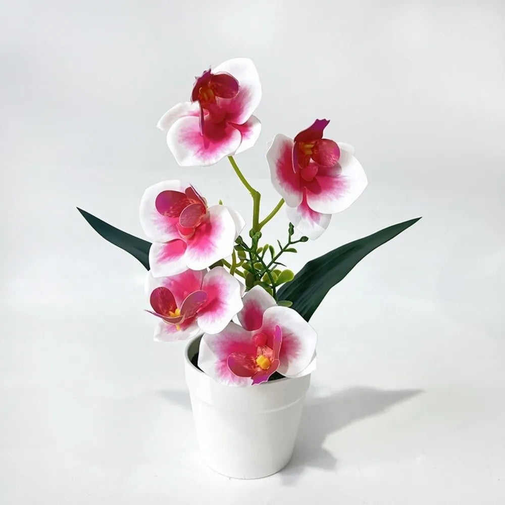 Artificial Orchid Potted Plant – 5 Blooms, Pink & White, 24cm