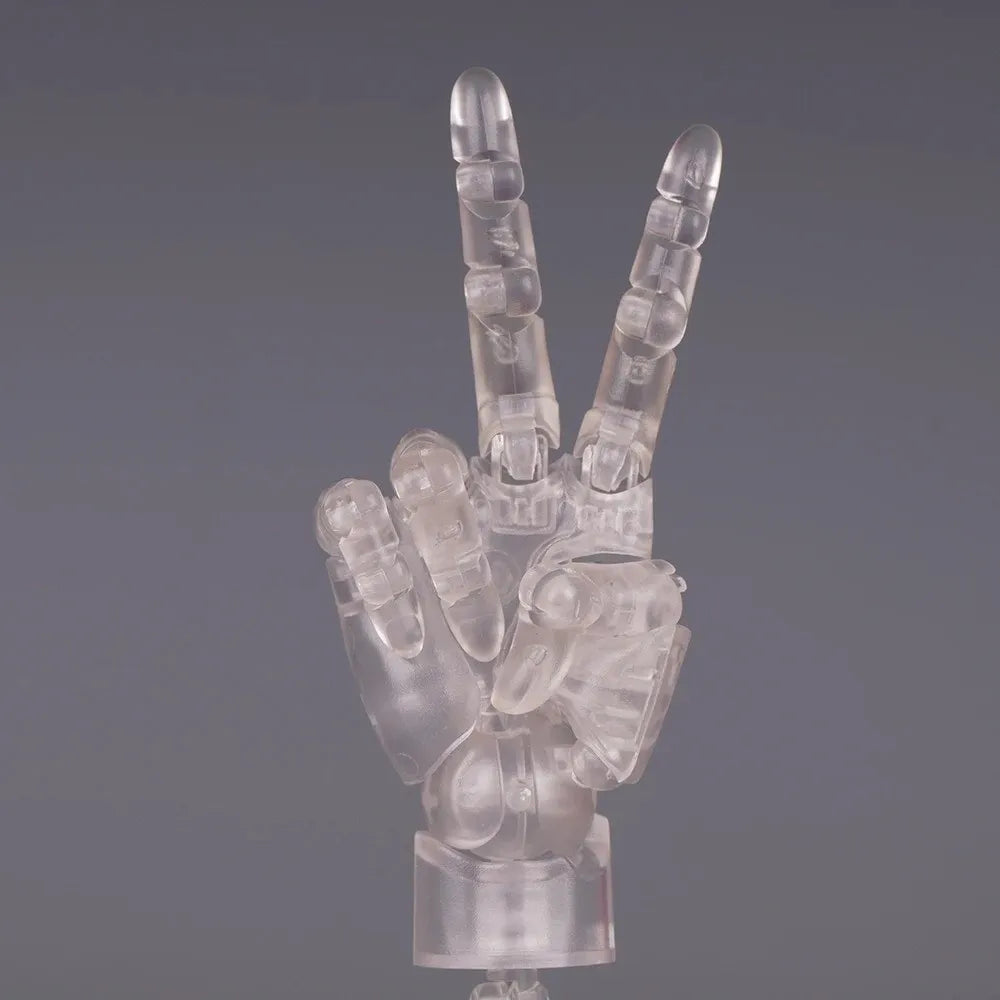 1:2 Scale Articulated Human Hand Model – Posable Fingers Articulated Hand Model Nixie