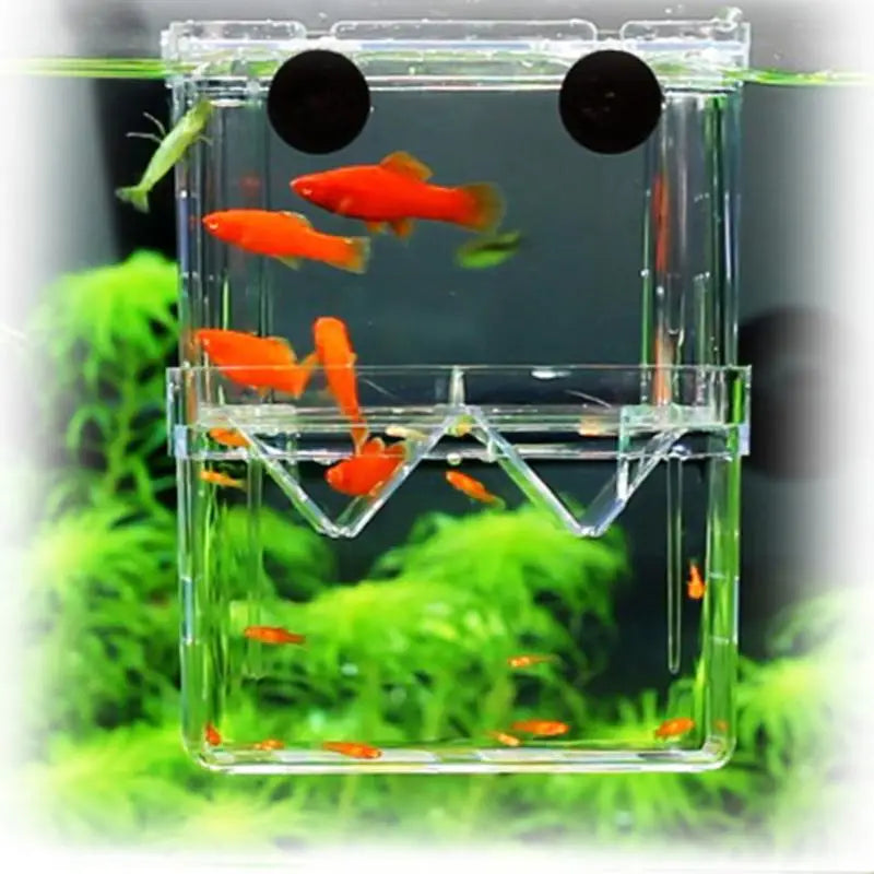 Acrylic Fish Breeding Isolation Box – Aquarium Hatchery Aquarium Breeder Box Nixie