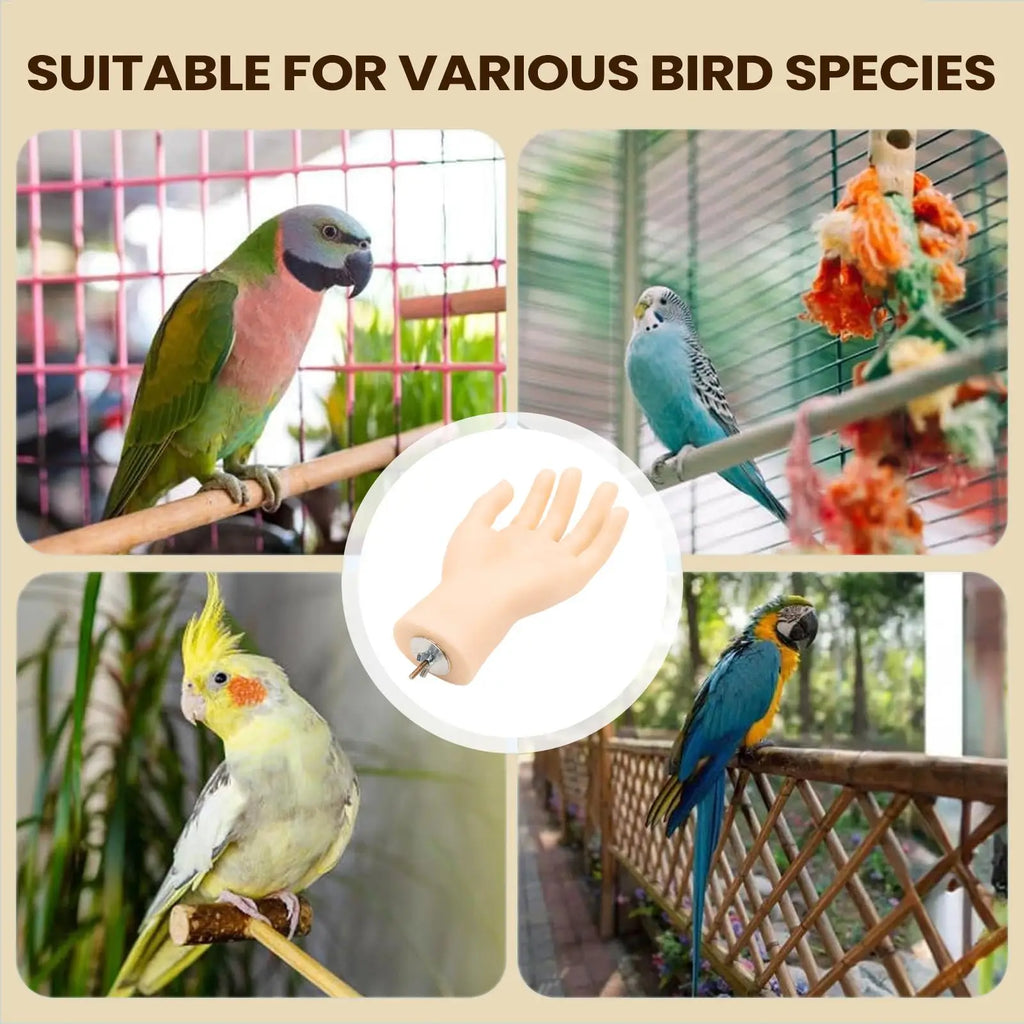 Simulated Hand Bird Perch – Anti-Bite Training Stand for Parrots