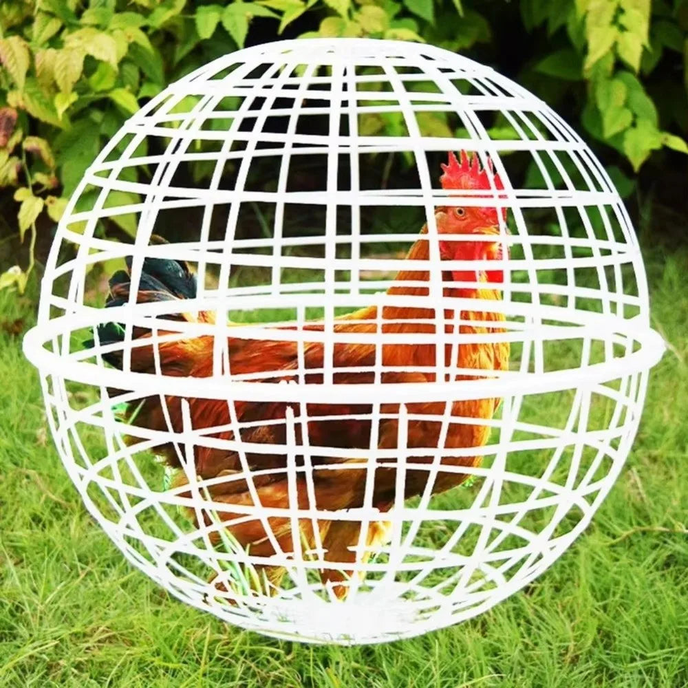 Portable Ventilated Chicken Ball Cage | Backyard & Farm Chicken Ball Cage Nixie
