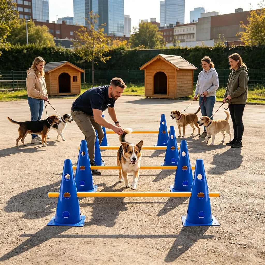 Dog Agility Obstacle Training Cone Set – Small Dogs & Puppies