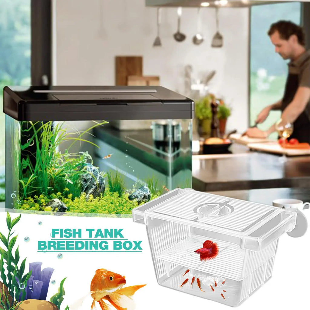 Acrylic Fish Breeding Isolation Box – Betta & Tropical Fish
