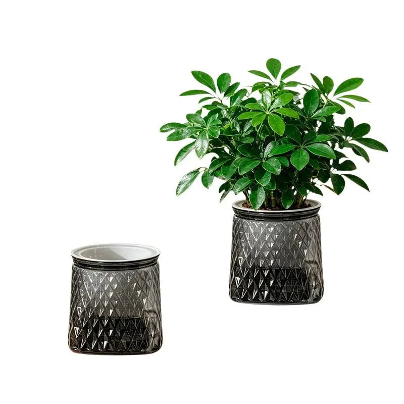 Mini Self-Watering Planter – Transparent PET Pot for Herbs & Succulents