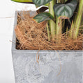 100g Coconut Coir Fiber Mulch – Plant Pot & Pet Bedding Coir Fiber Mulch Nixie Default Title