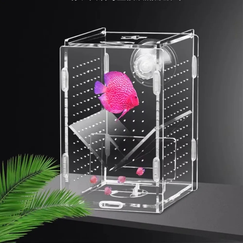 Acrylic Aquarium Isolation Box – Fry Breeder & Spawning Hatchery