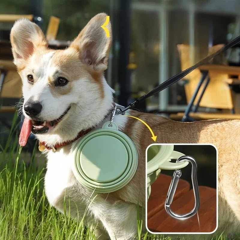350ml Collapsible Silicone Pet Bowl for Travel – Dogs & Cats Collapsible Pet Bowl Nixie