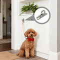 Stainless Steel Dog Leash Wall Hook – Anti-Slip Holder Dog Leash Wall Hook Nixie Default Title
