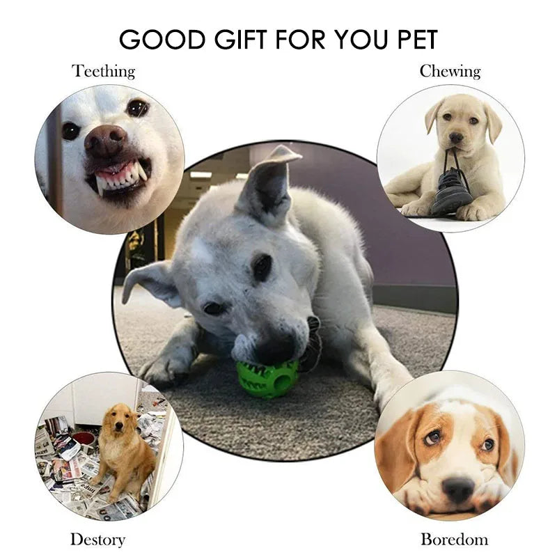 Interactive Rubber Ball Dog Chew Toy & Treat Feeder – 5cm Dog Chew Toy Nixie