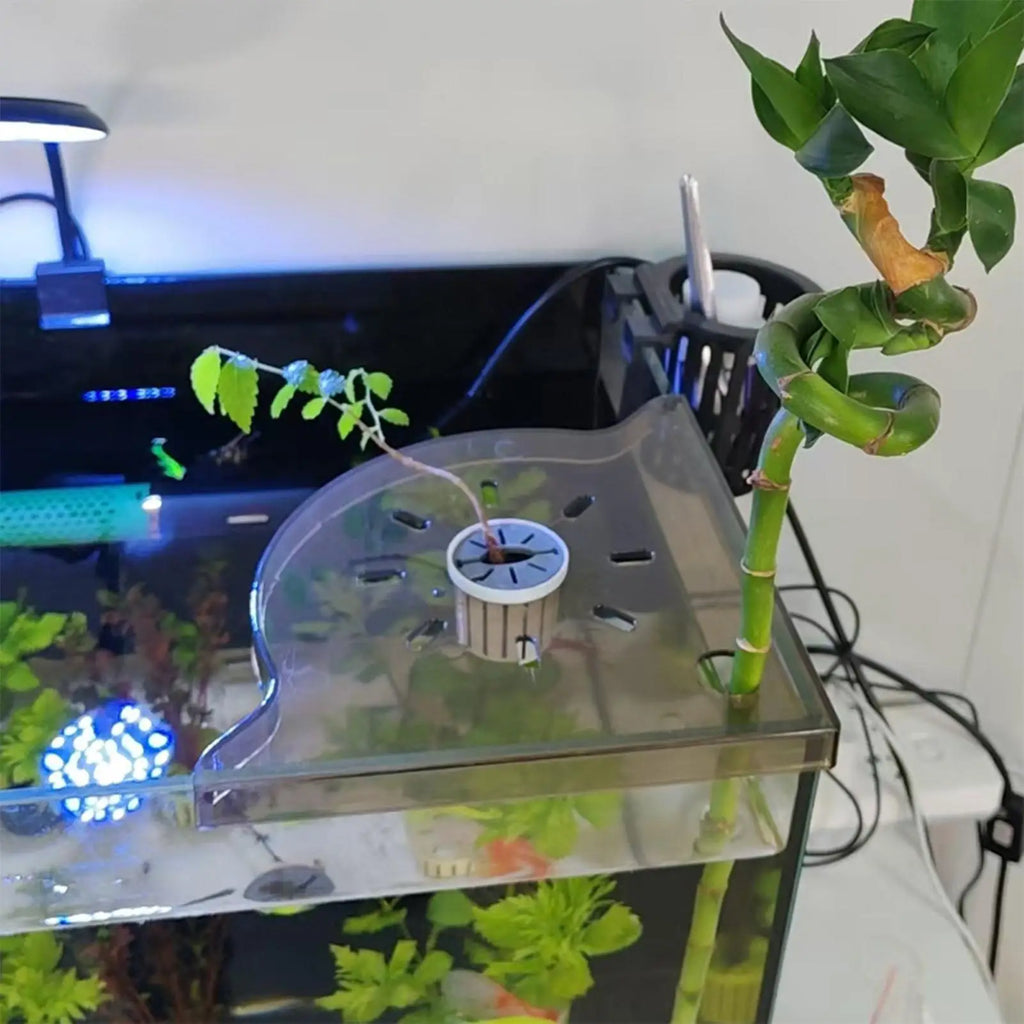 Aquarium Corner Shelf – PP Fish Tank Plant & Tool Holder Aquarium Corner Shelf Nixie