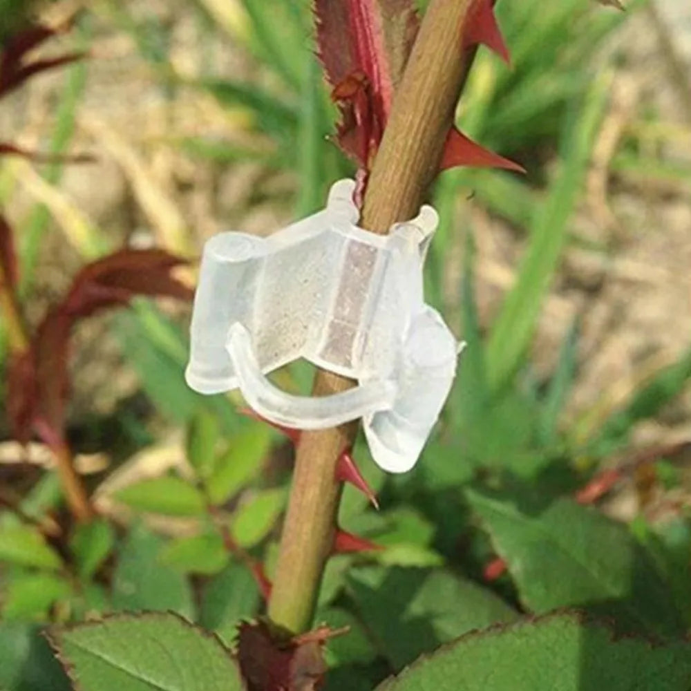 100pcs Reusable Plastic Grafting Clips – Plant Grafting Clamps