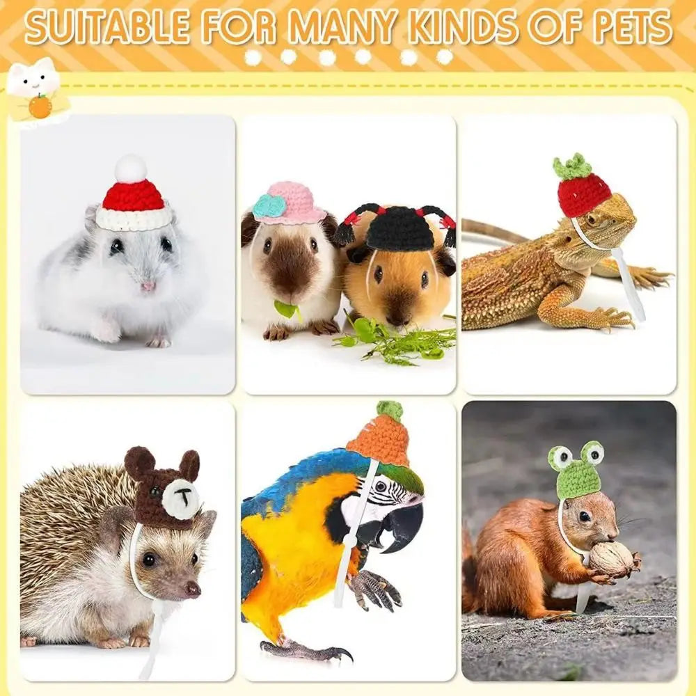 2PCS Handmade Knitted Wool Pet Hats for Hamsters & Parrots Small Pet Hat Nixie
