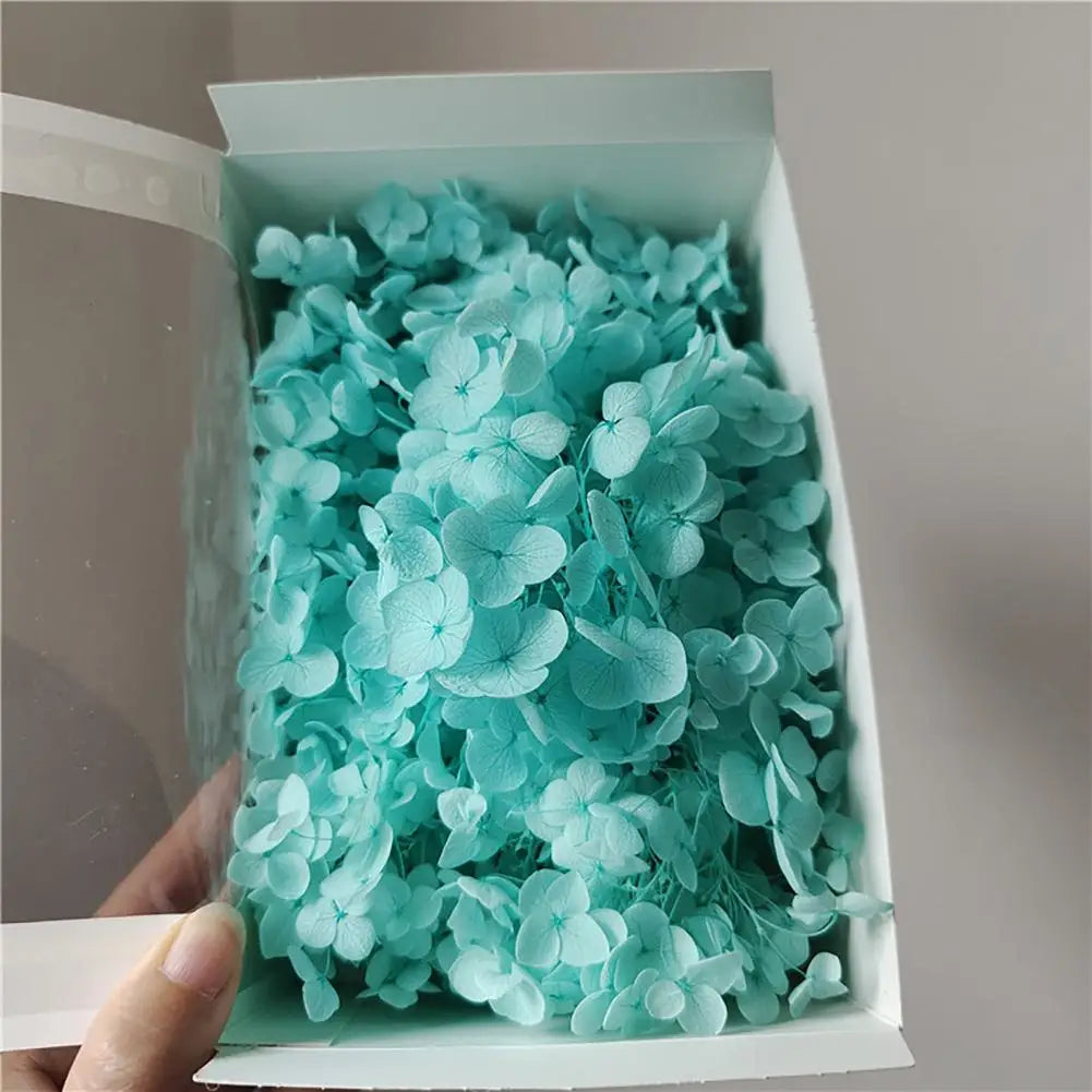 20g Dried Hydrangea Flowers – Resin, Jewelry & DIY Crafts Dried Craft Flowers Nixie Sky Blue