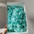 20g Dried Hydrangea Flowers – Resin, Jewelry & DIY Crafts Dried Craft Flowers Nixie Sky Blue