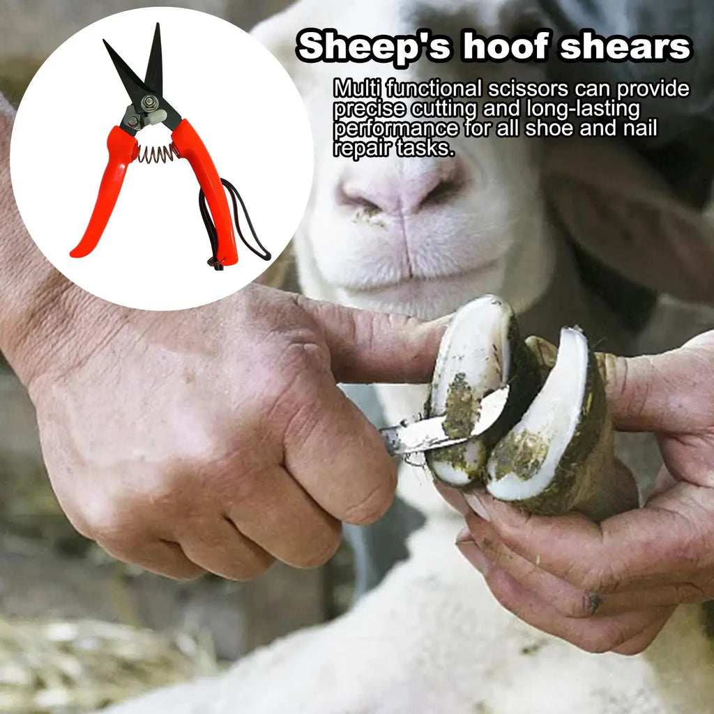Sheep & Goat Hoof Trimmers – Stainless Steel Shears Hoof Trimming Shears Nixie Default Title