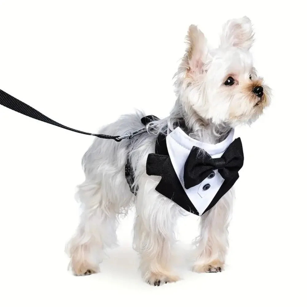 Dog Tuxedo Kit with Bow Tie & Vest Harness | Black & Blue
