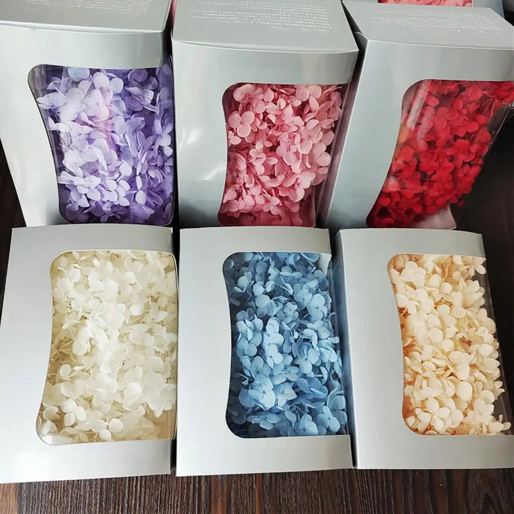 20g Dried Hydrangea Flowers – Resin, Jewelry & DIY Crafts Dried Craft Flowers Nixie