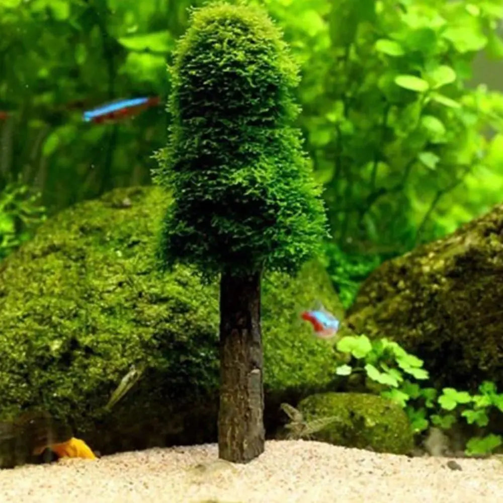 Mini Christmas Tree Aquarium Moss Plant Holder | Fish Tank Decor