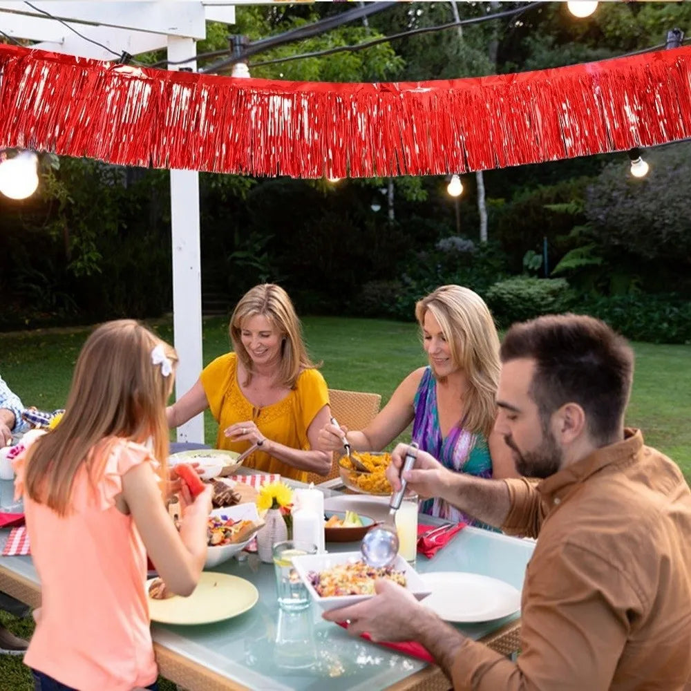 3M Metallic Foil Fringe Garland – Glitter Party Backdrop Banner Party Fringe Garland Nixie