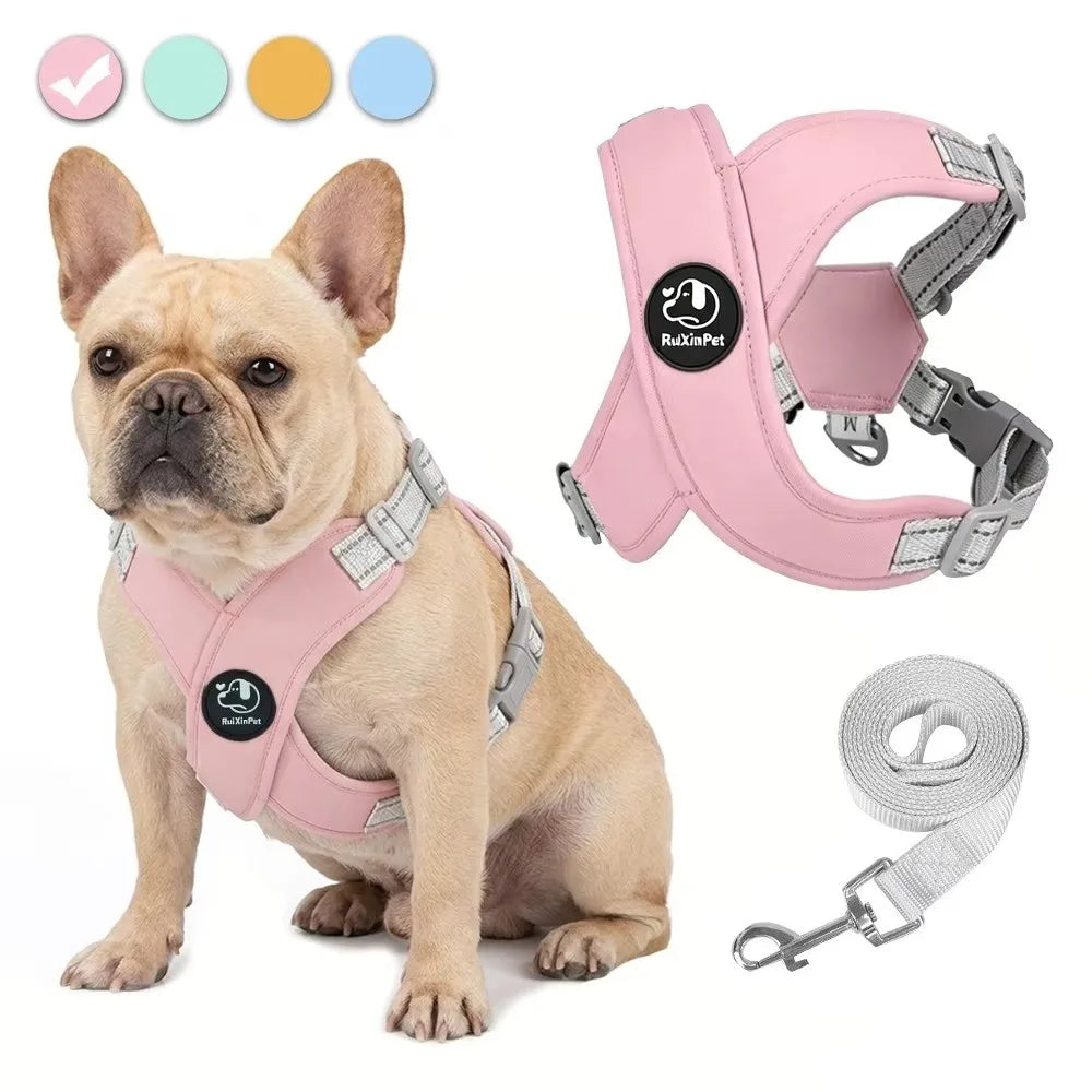 Reflective Dog Harness & Leash Set | Adjustable, Quick Release Dog Harness Set Nixie