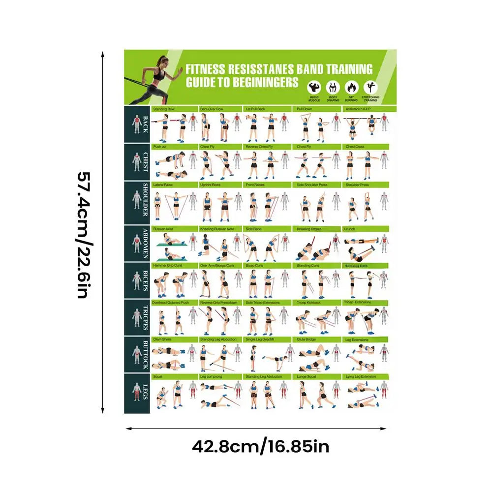 Workout Posters – Resistance Bands & Yoga Exercise Wall Chart Fitness Wall Chart Nixie As show