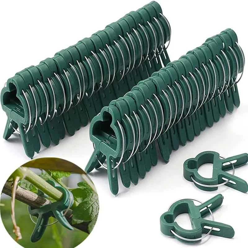 20Pcs Reusable Plant Support Clips for Vines & Seedlings Plant Support Clips Nixie