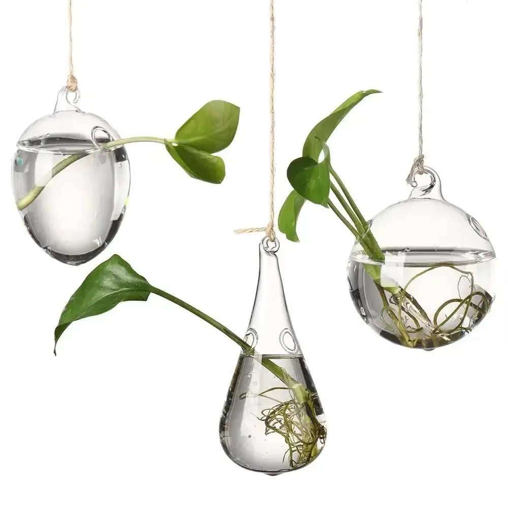 Hanging Glass Vase – Hydroponic Plant Pot, 12 Shapes Hanging Glass Vase Nixie
