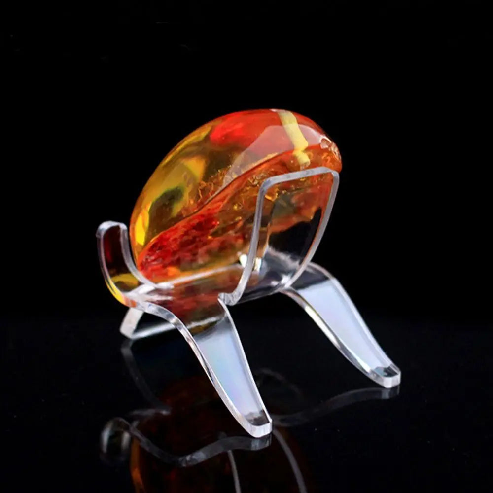 Acrylic Display Stand for Crystals, Fossils & Minerals Acrylic Display Stand Nixie