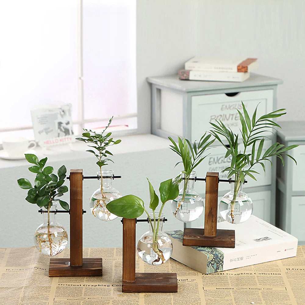 Hydroponic Glass Terrarium Vase with Wooden Stand | Desktop Decor Glass Terrarium Vase Nixie