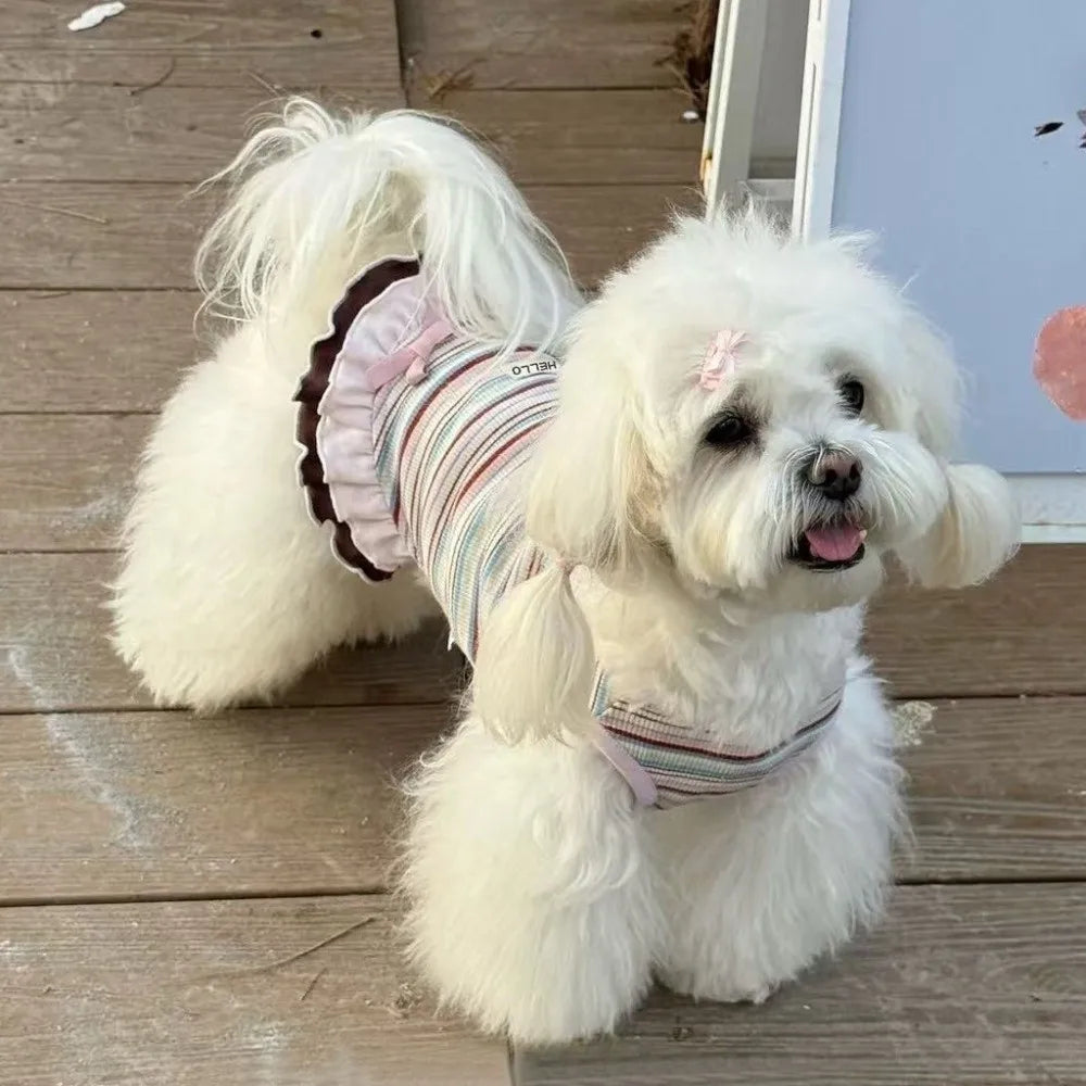 Rainbow Stripe Lace Dog Dress – Summer Skirt for Small Dogs Dog Dress Nixie
