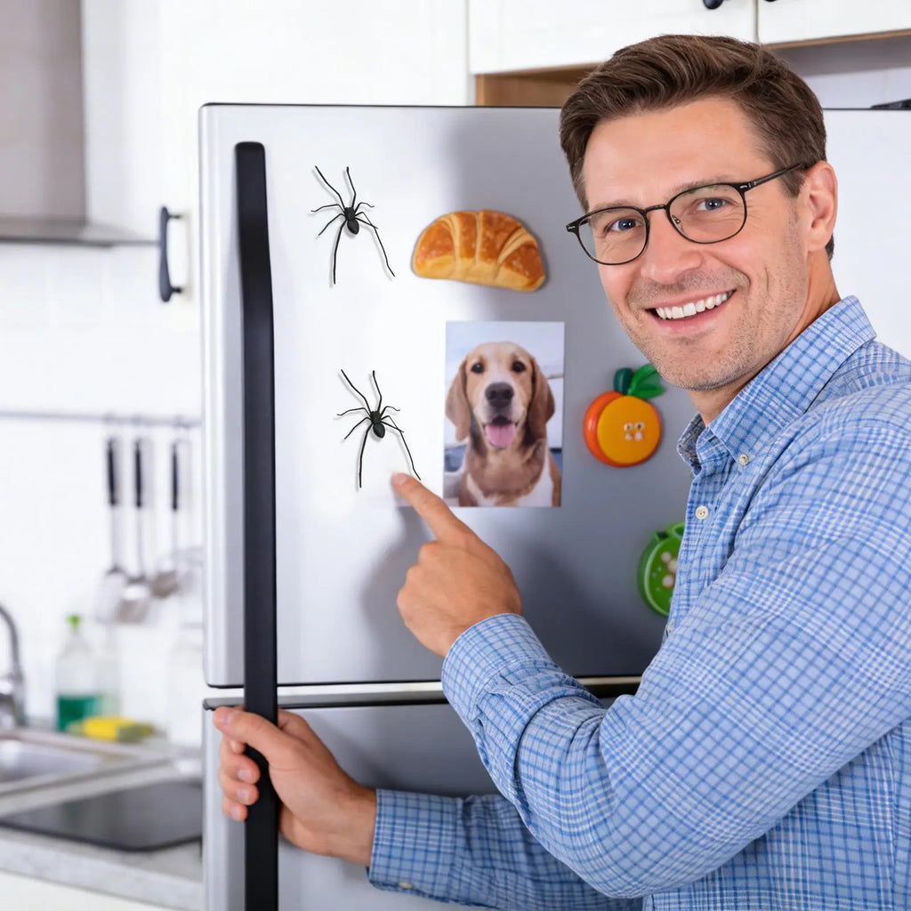 Realistic Spider Fridge Magnet – Prank & Halloween Décor Novelty Fridge Magnet Nixie