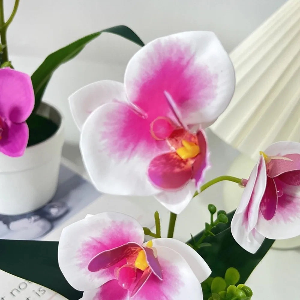 Artificial Orchid Potted Plant – 5 Blooms, Pink & White, 24cm