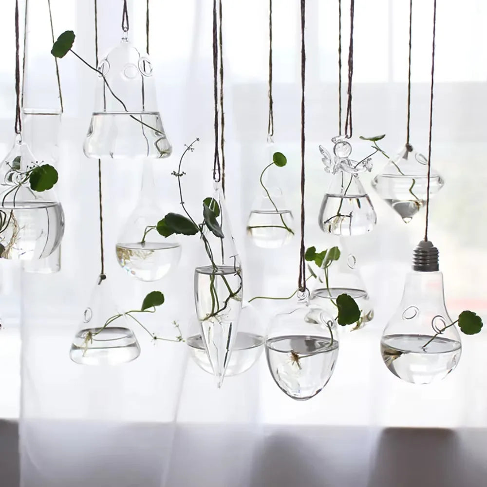 Hanging Glass Vase – Hydroponic Plant Pot, 12 Shapes Hanging Glass Vase Nixie