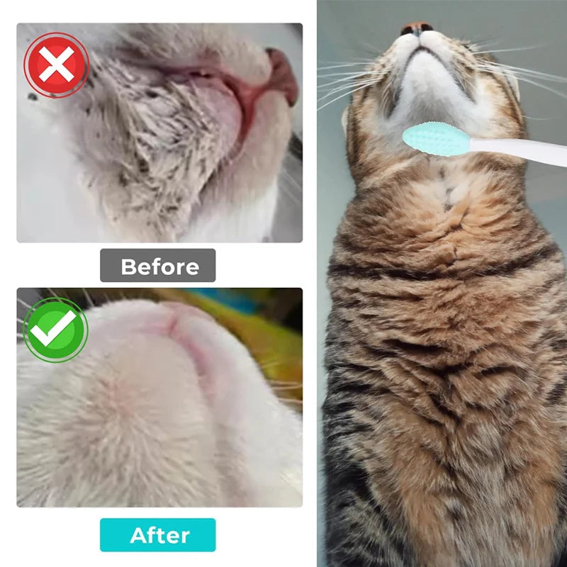 5PCS Silicone Cat Brush Set | Zinc Alloy Handle Grooming Kit Cat Grooming Brush Nixie